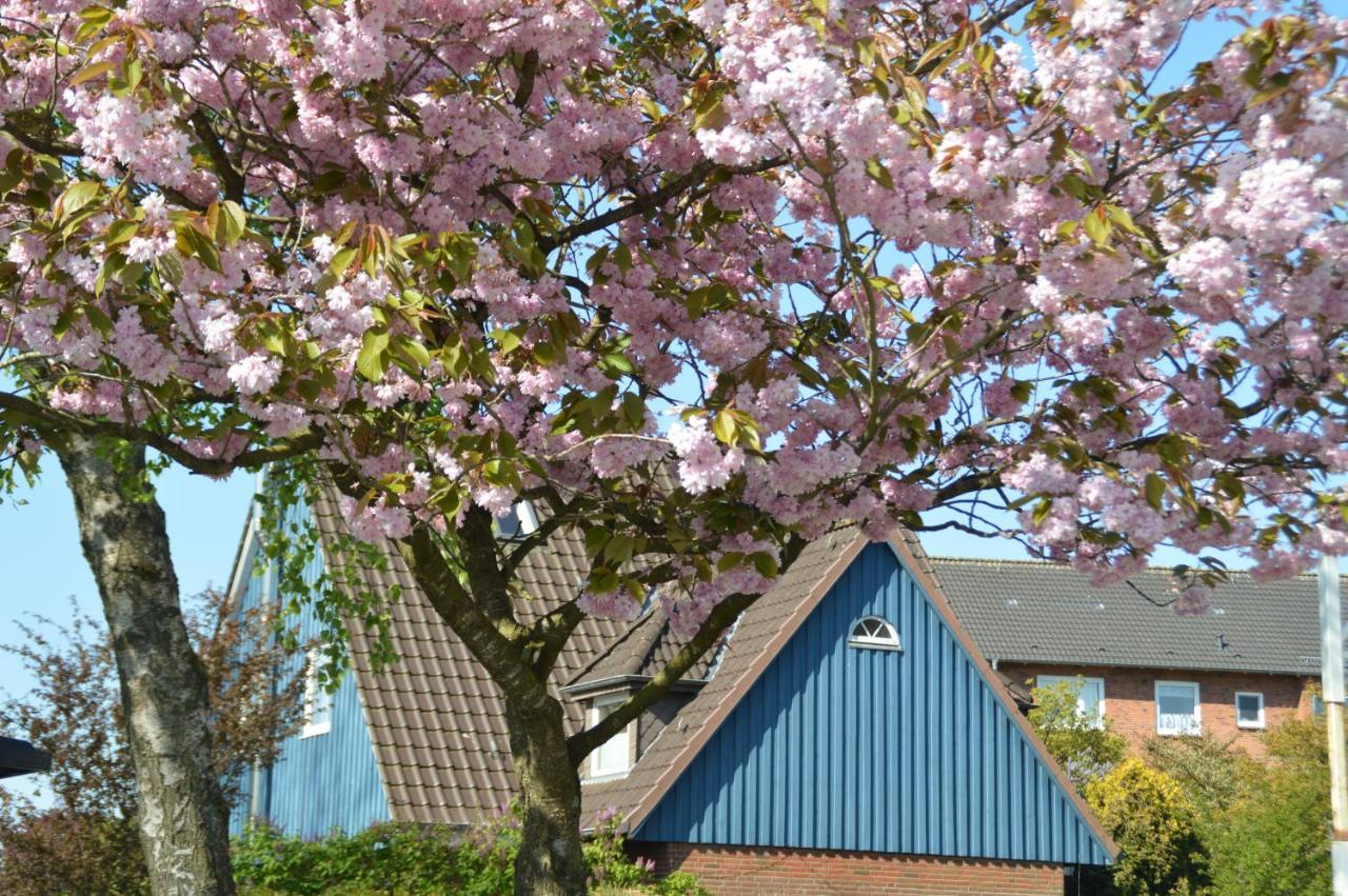 Casa Azul Lägenhet Flensburg Exteriör bild