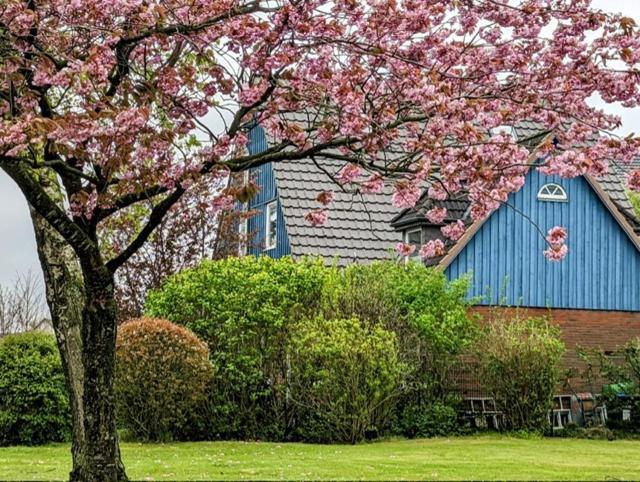 Casa Azul Lägenhet Flensburg Exteriör bild